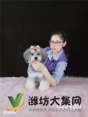 濰坊初級寵物美容培訓班課程,怎么樣