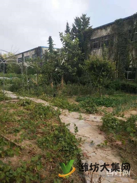 (快租無中介費)高新區臥龍街東方路寫字樓出租