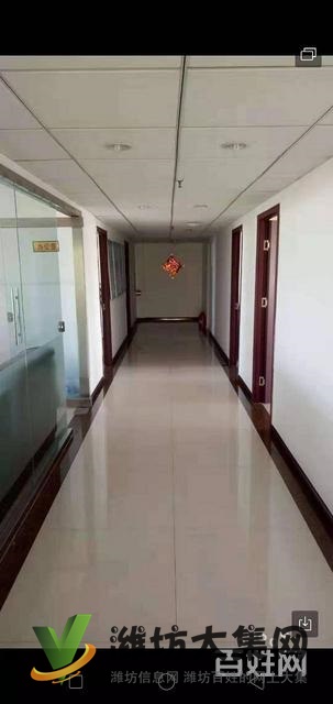 (快租無中介費)奎文區(qū)通亭街佳樂家對面寫字樓出租