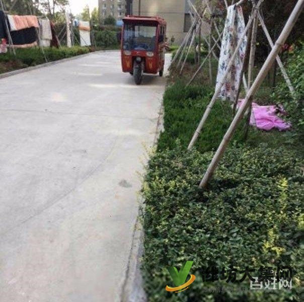 買奧體近大三室,超底價格,視野 開闊,全天采光南北通透