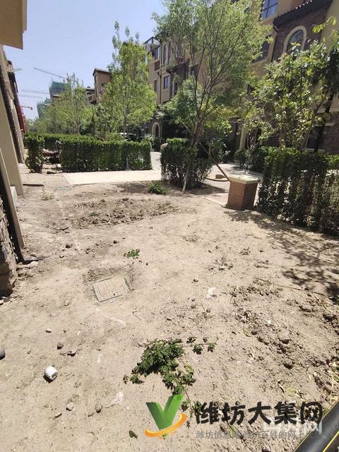 玫瑰公館一樓帶大院！送城市會客廳！三居，更名貸款，