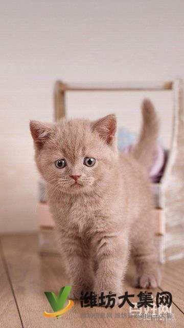 天水盛和苑個(gè)人房無(wú)