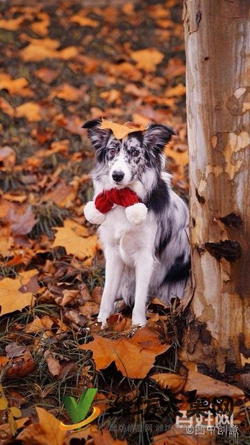 天水盛和苑個(gè)人房無(wú)