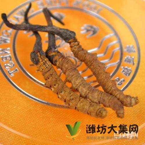 濰坊回收茅臺酒,回收五糧液,回收老酒,禮品回收洋酒