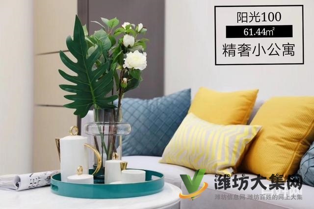 陽光100精裝公寓40~60平 樣板間開放歡迎品鑒