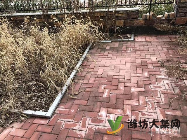 水木清華 一樓帶院豪華裝修溫馨三居室 看房方便火急