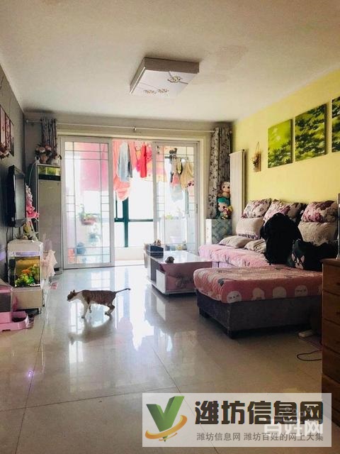 奎文正脈 圣榮廣場 首付15萬 客廳朝陽 精裝 有