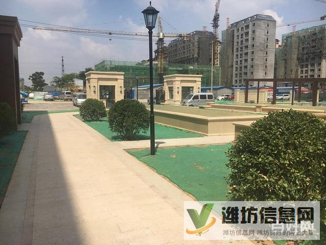 金都聚福園,5樓電梯洋房,送入戶花園 地下室無稅急售120萬